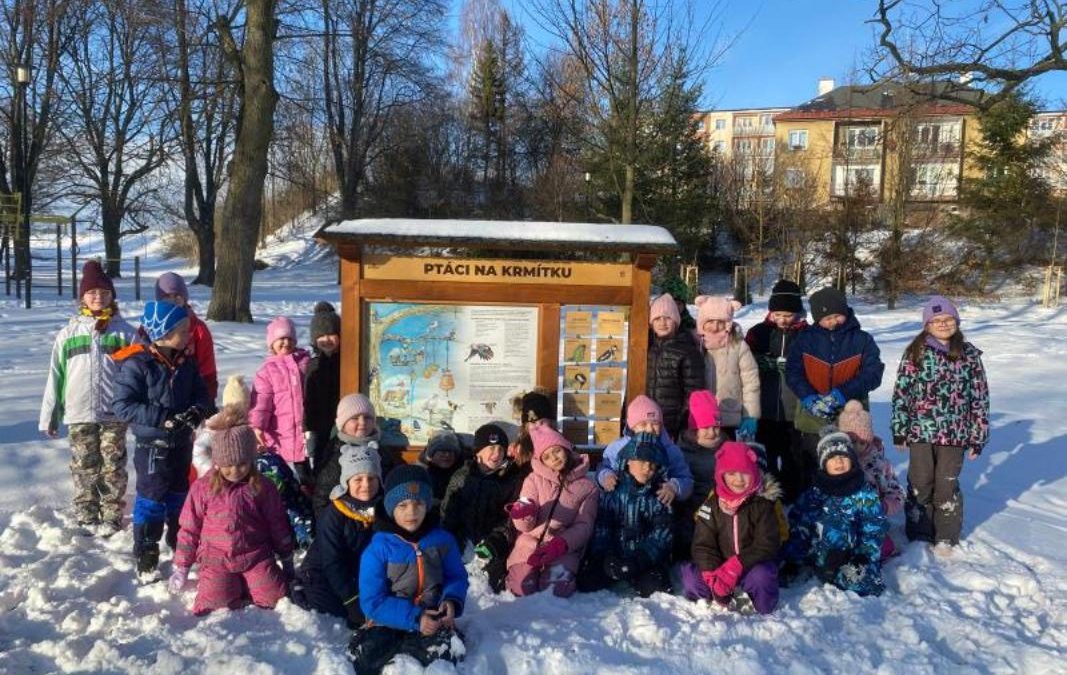 Zimní svět ptáčků ožil ve třídě i u krmítka