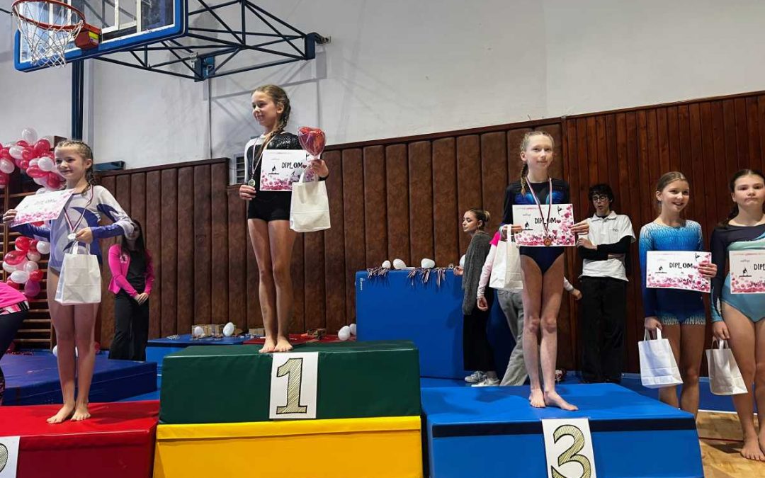 Krnov opět ožil sportovní gymnastikou