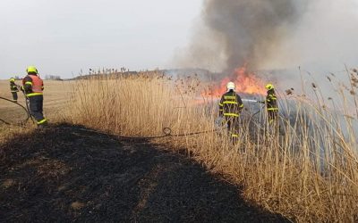 Hasiči varují: Vypalování trávy je nezákonné
