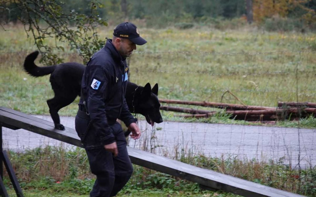 Moravskoslezský kraj: Psovodi se služebními psy byli i v roce 2025 v policejní činnosti nepostradatelní
