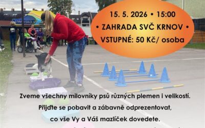 Krnov: Voříškiáda zve všechny psí šikulky i jejich páníčky