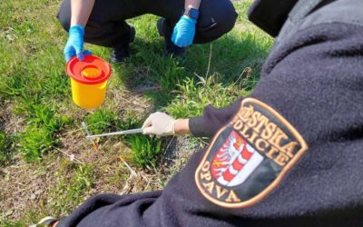 Opava: Strážníci denně odstraňují nebezpečné injekční stříkačky z veřejných míst