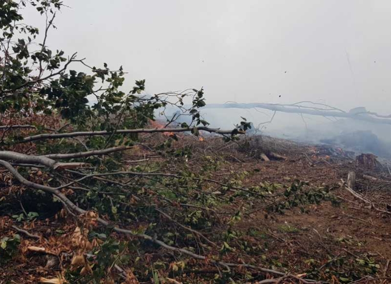 Foto: Facebook - Hasiči Město Albrechtice