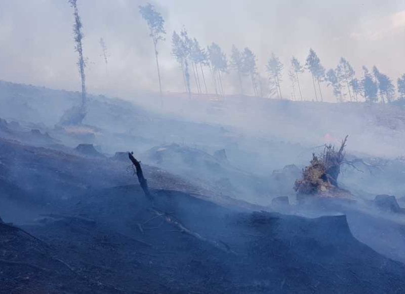 Foto: Facebook - Hasiči Město Albrechtice