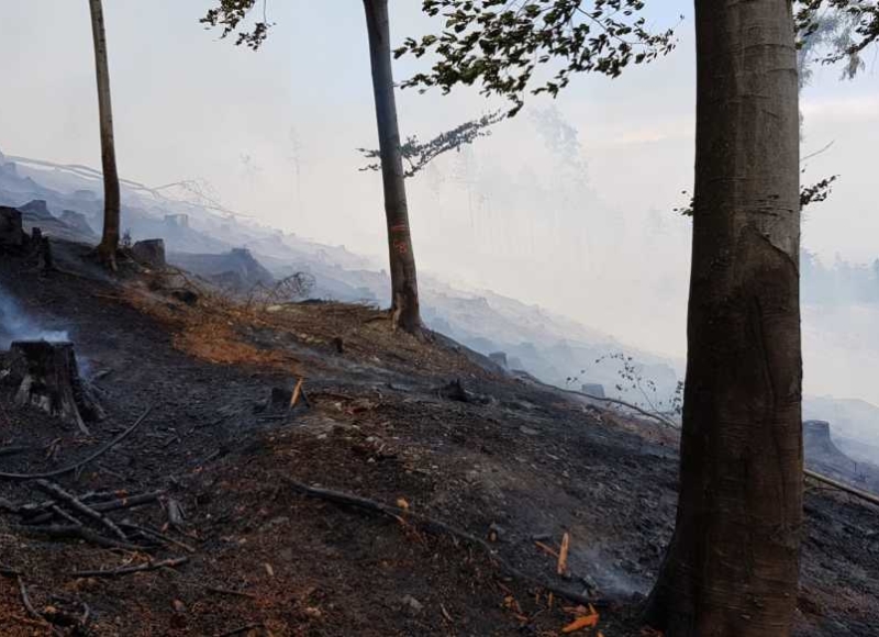 Foto: Facebook - Hasiči Město Albrechtice