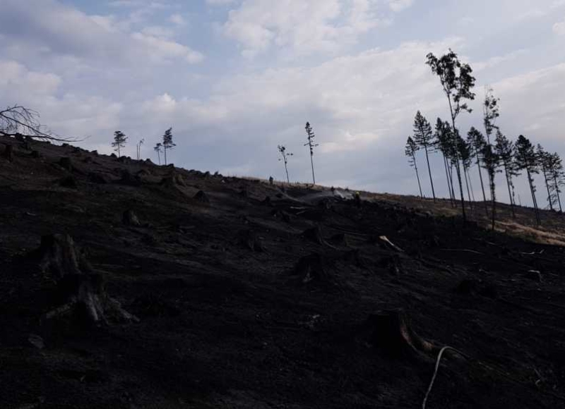 Foto: Facebook - Hasiči Město Albrechtice