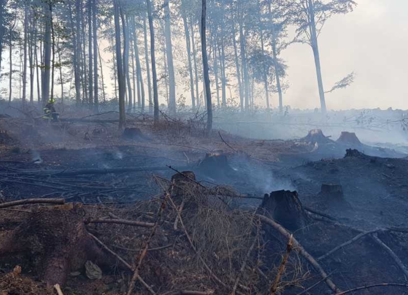 Foto: Facebook - Hasiči Město Albrechtice