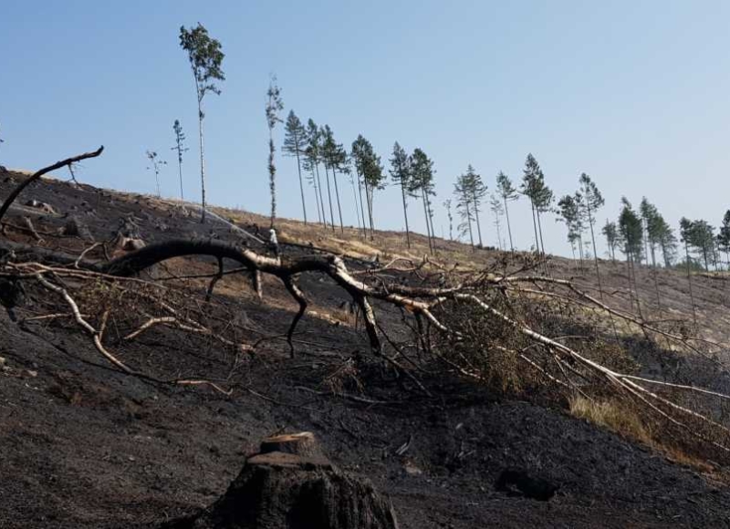 Foto: Facebook - Hasiči Město Albrechtice