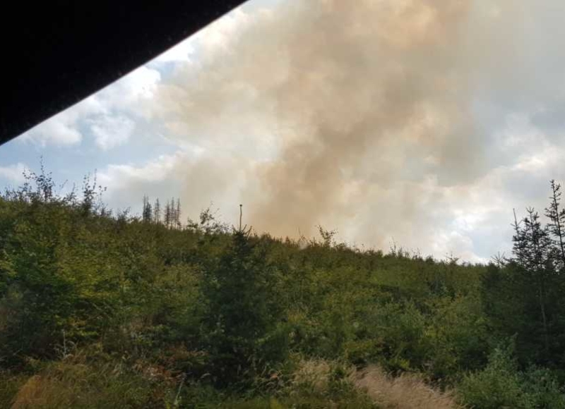 Foto: Facebook - Hasiči Město Albrechtice