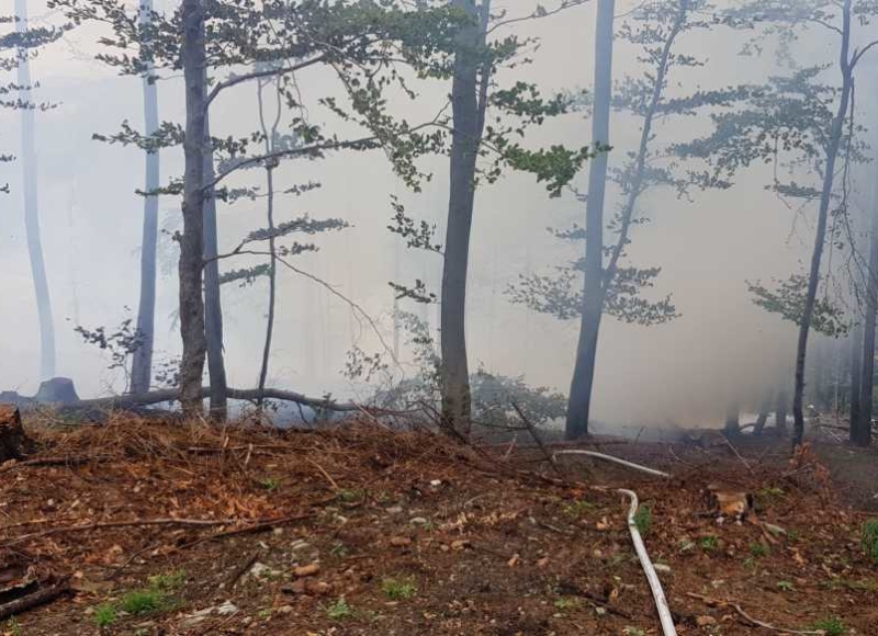 Foto: Facebook - Hasiči Město Albrechtice