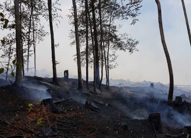 Foto: Facebook - Hasiči Město Albrechtice