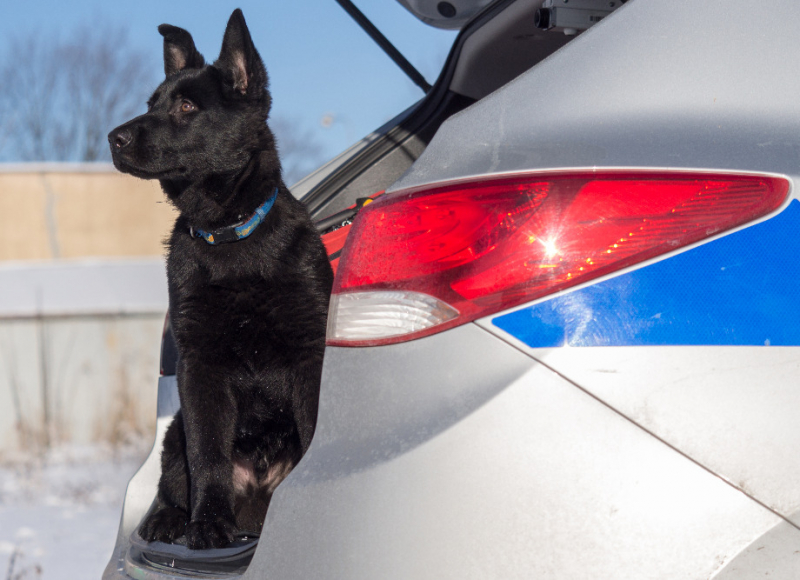 Foto: Policie ČR