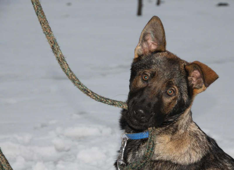 Foto: Policie ČR