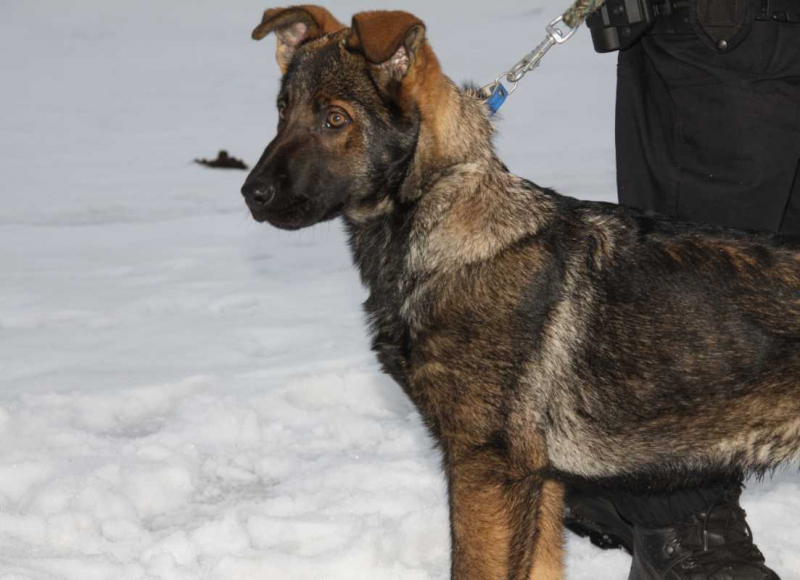 Foto: Policie ČR