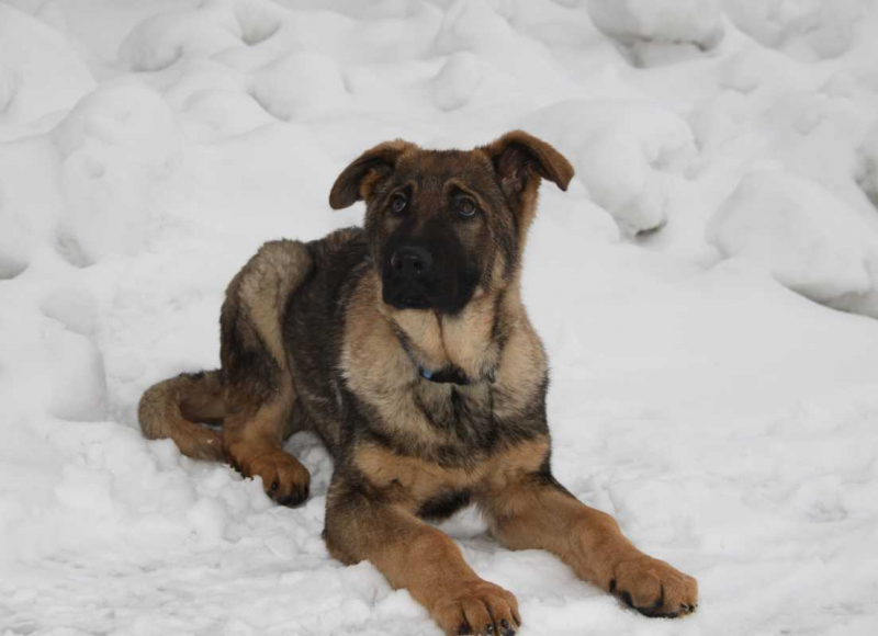 Foto: Policie ČR