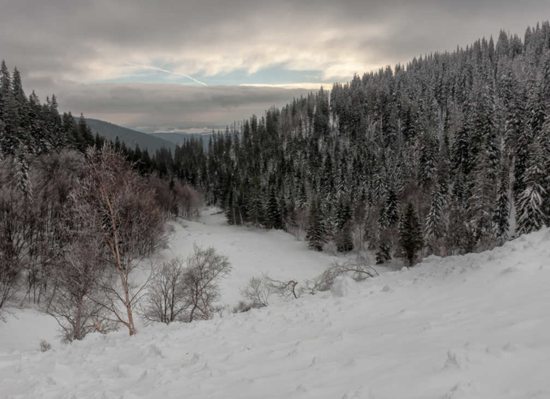 Foto: Horská služba Jeseníky