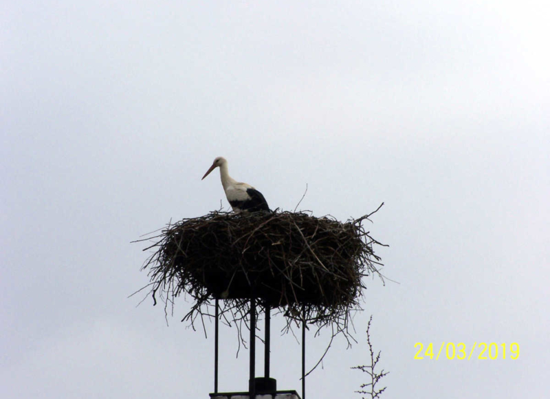 Foto: Jaromír Čubok