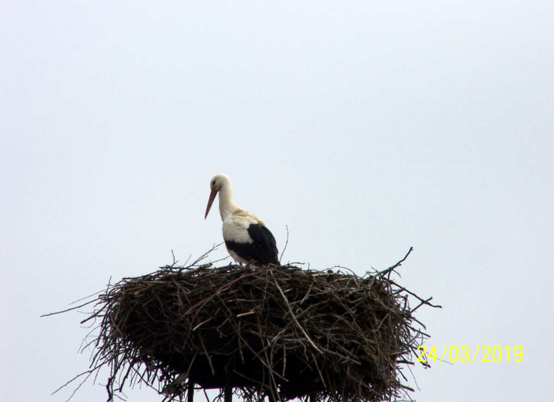 Foto: Jaromír Čubok