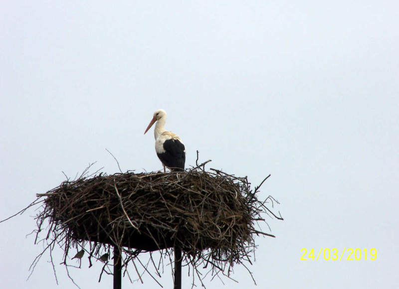 Foto: Jaromír Čubok