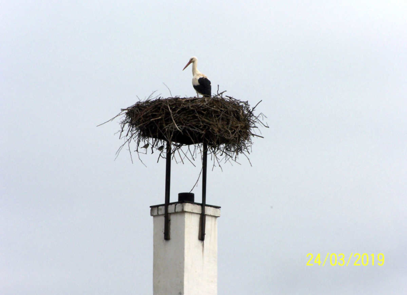 Foto: Jaromír Čubok