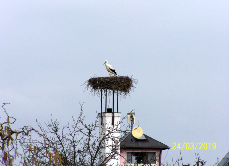 Foto: Jaromír Čubok