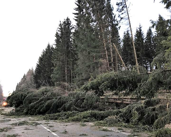 Foto: Hasiči Horní Benešov