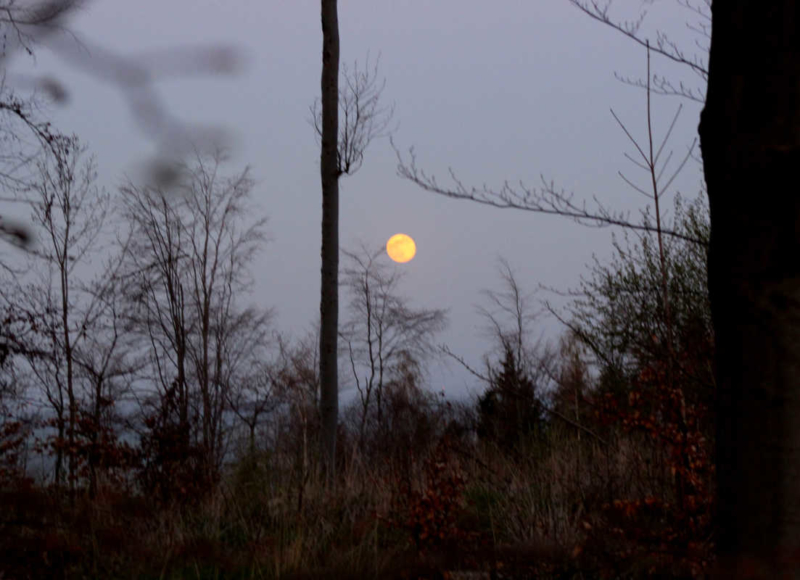 Foto: Radek Vráblík