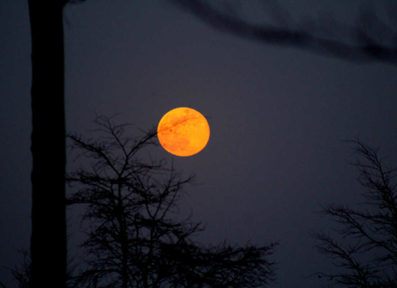 Foto: Radek Vráblík