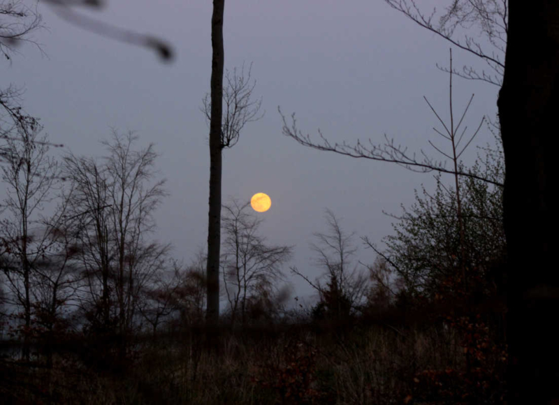 Foto: Radek Vráblík