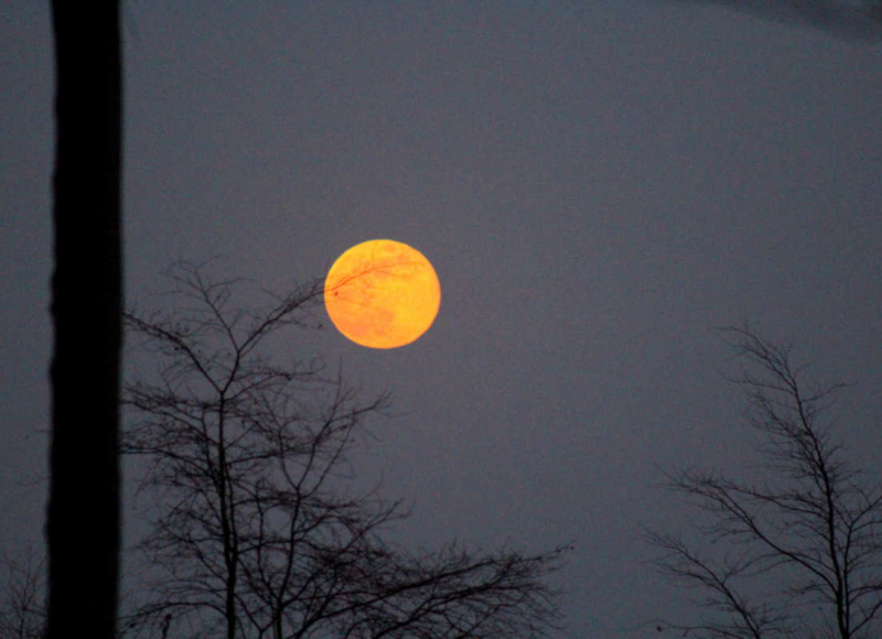 Foto: Radek Vráblík