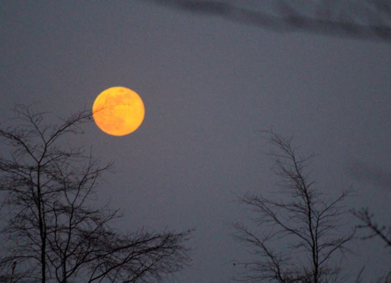 Foto: Radek Vráblík