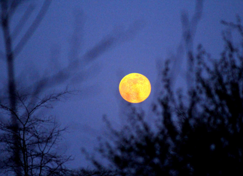 Foto: Radek Vráblík