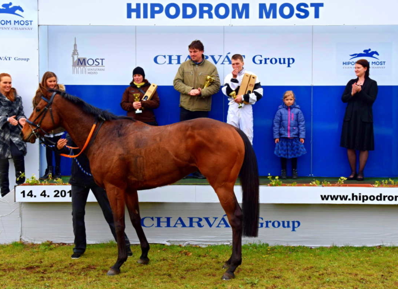 Foto: Miroslav Škoda