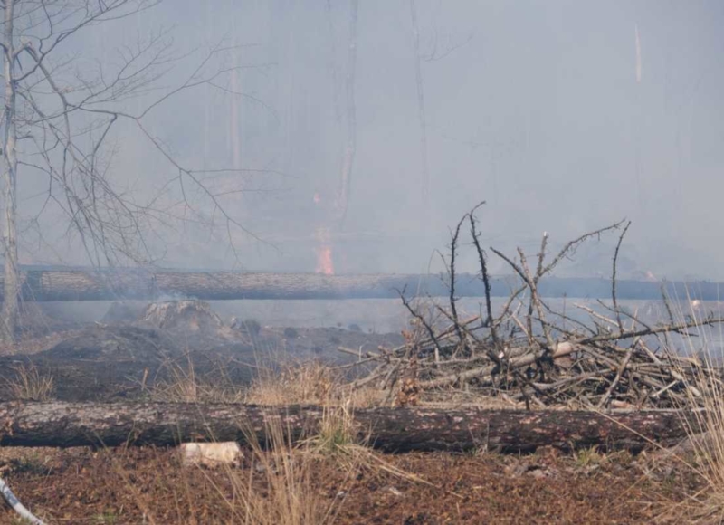 Foto: HZS Moravskoslezského kraje
