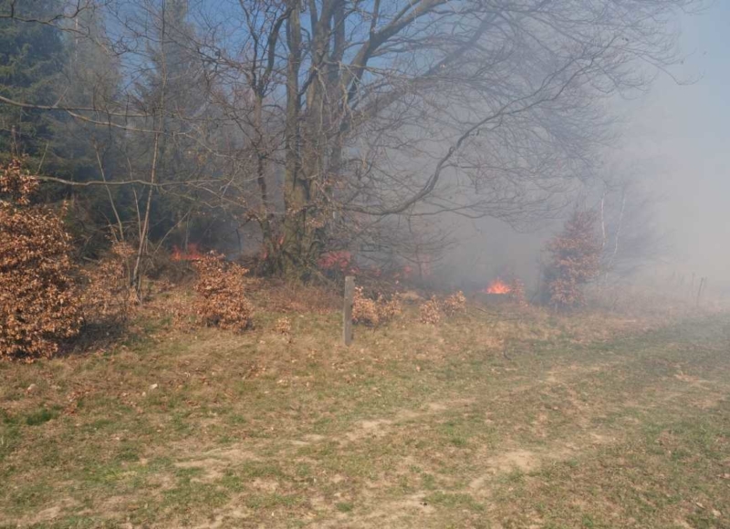 Foto: HZS Moravskoslezského kraje