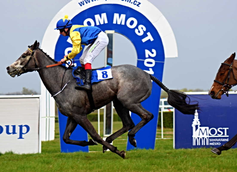 Foto: Miroslav Škoda