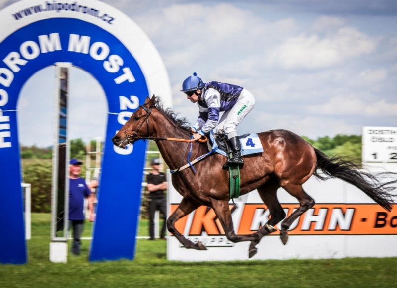 Foto: Andrea Zavadilová