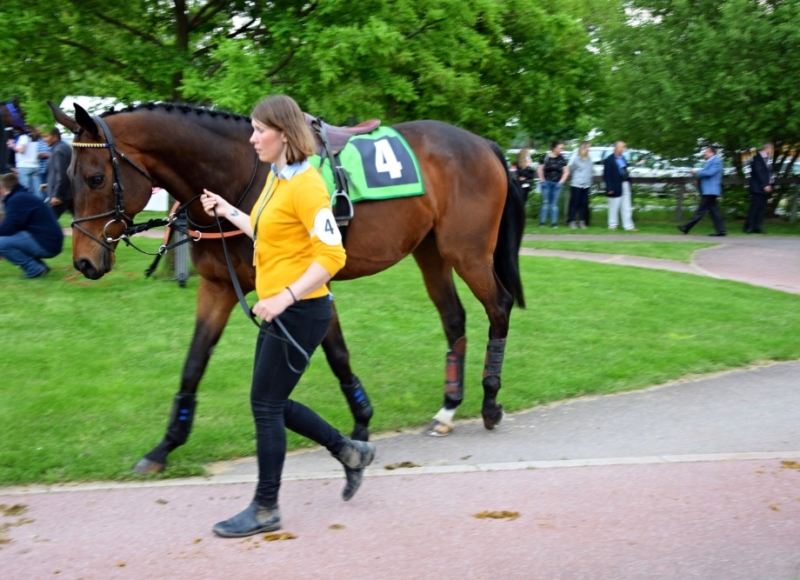 Foto: Miroslav Škoda