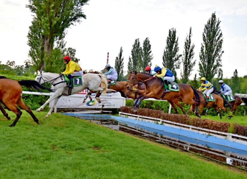 Foto: Miroslav Škoda