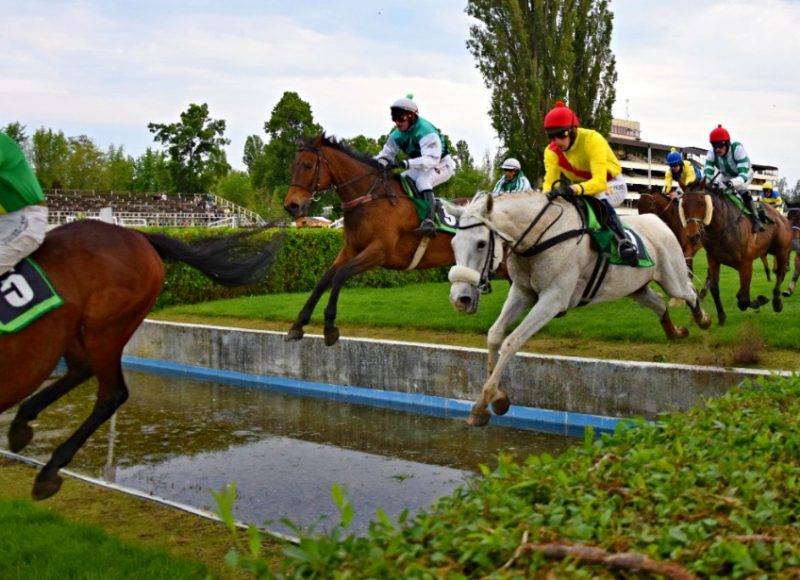 Foto: Miroslav Škoda