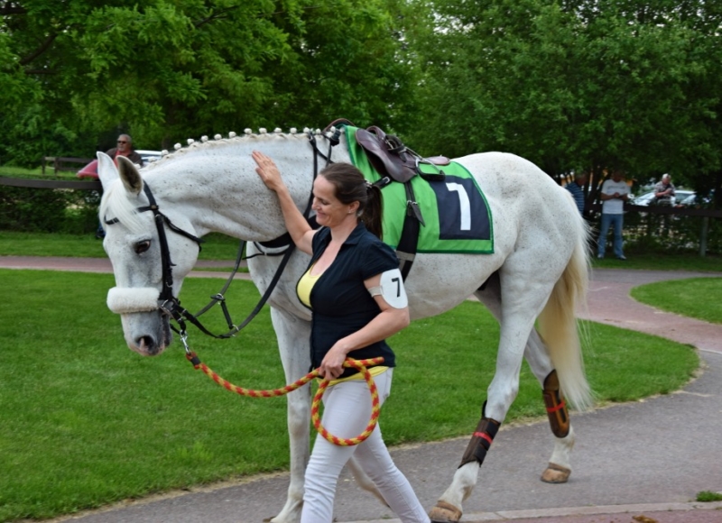 Foto: Miroslav Škoda