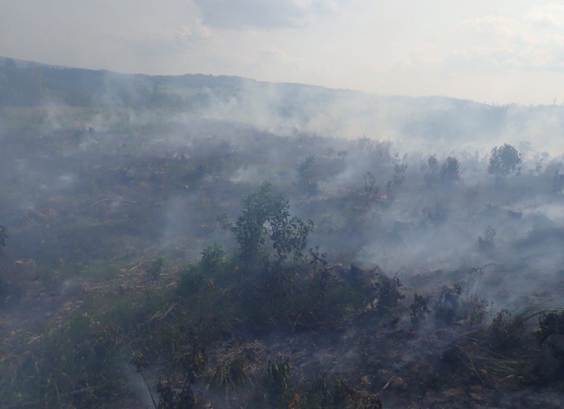 Foto: Štěpán Mikulka, HZS Moravskoslezského kraje