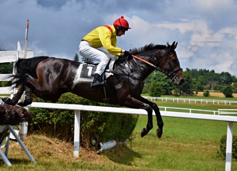 Foto: Miroslav Škoda