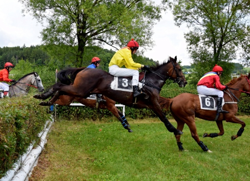 Foto: Miroslav Škoda