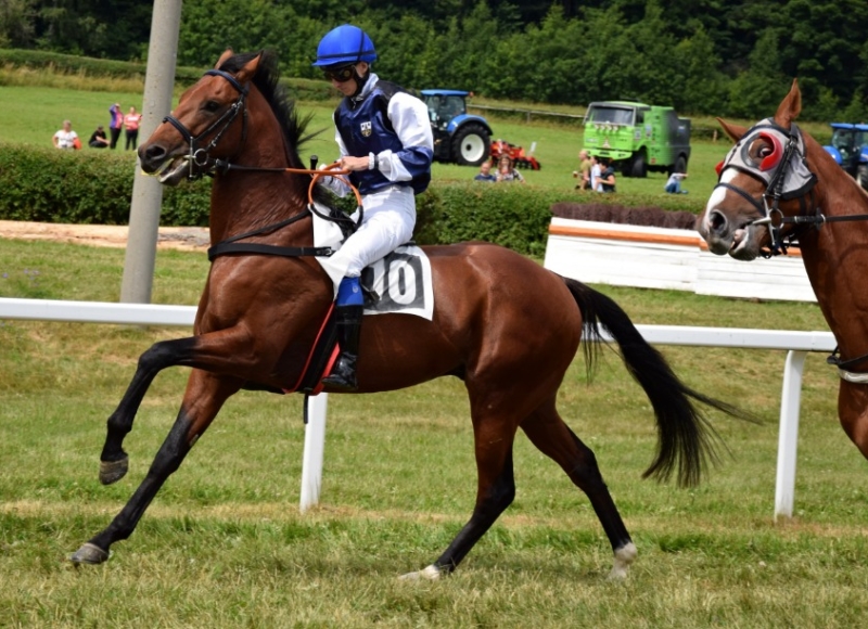 Foto: Miroslav Škoda