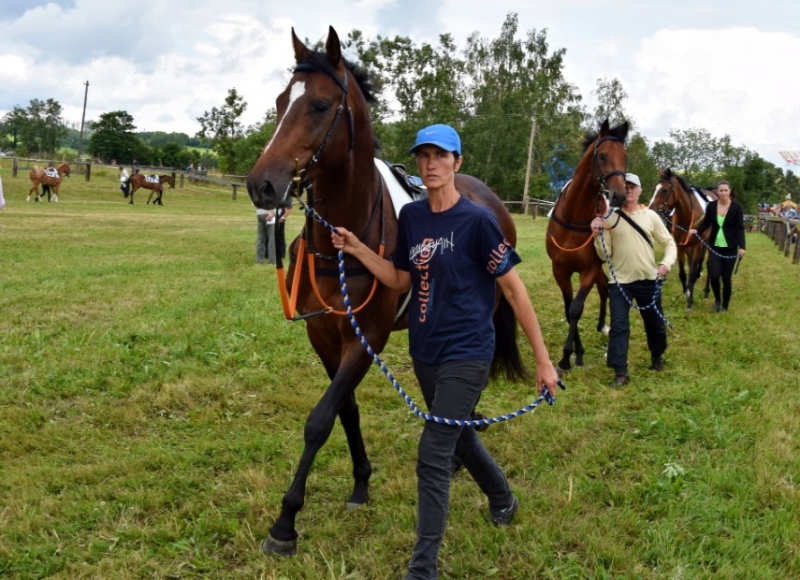 Foto: Miroslav Škoda