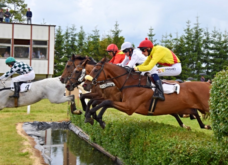 Foto: Miroslav Škoda