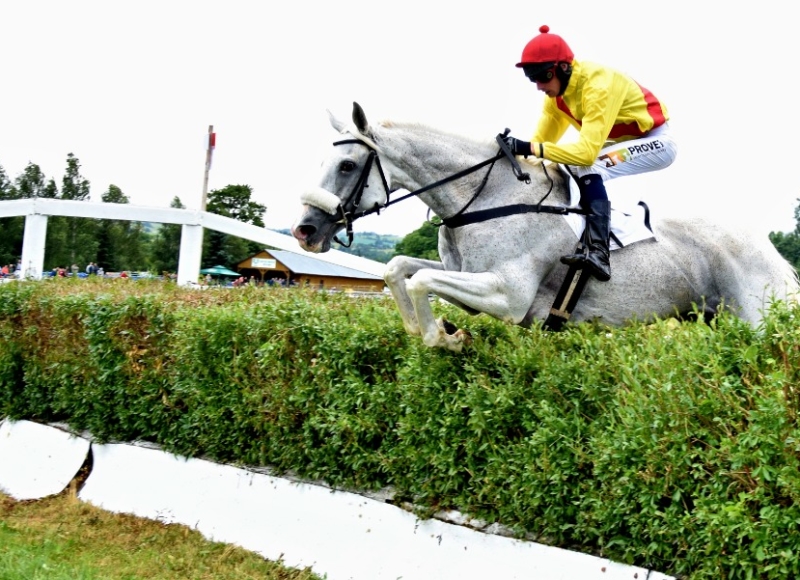 Foto: Miroslav Škoda