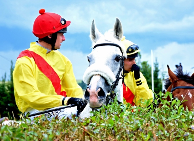 Foto: Miroslav Škoda