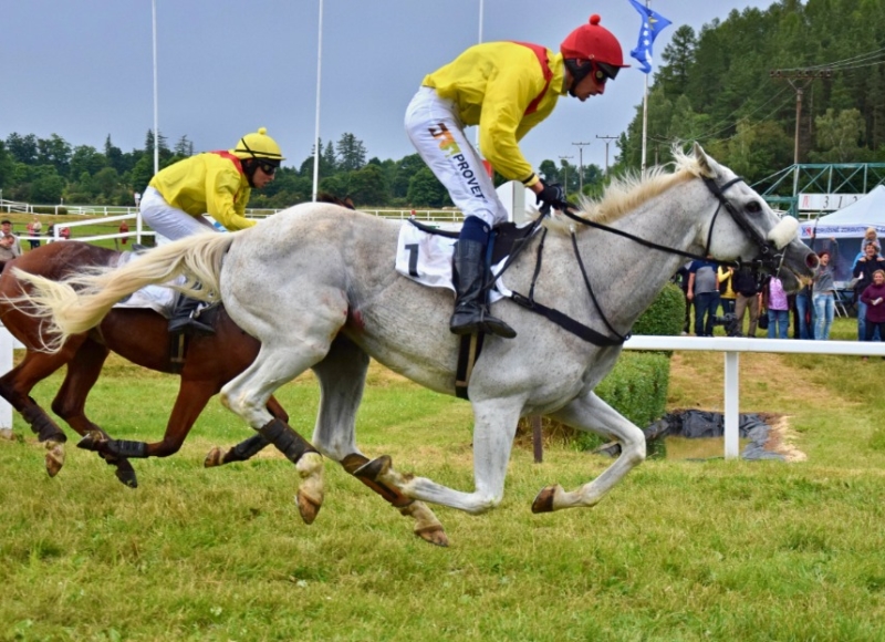 Foto: Miroslav Škoda